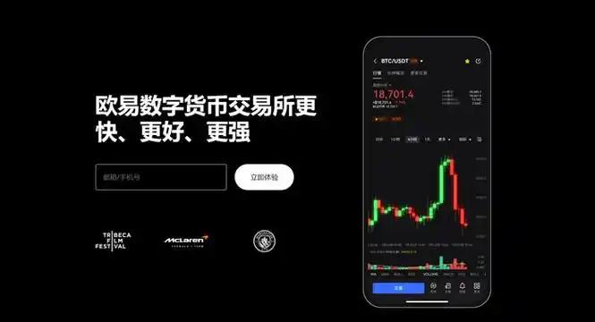 下载欧一系统展示图